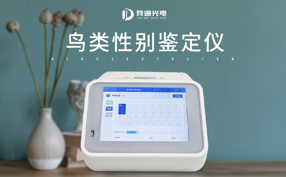鸽子性别鉴定仪