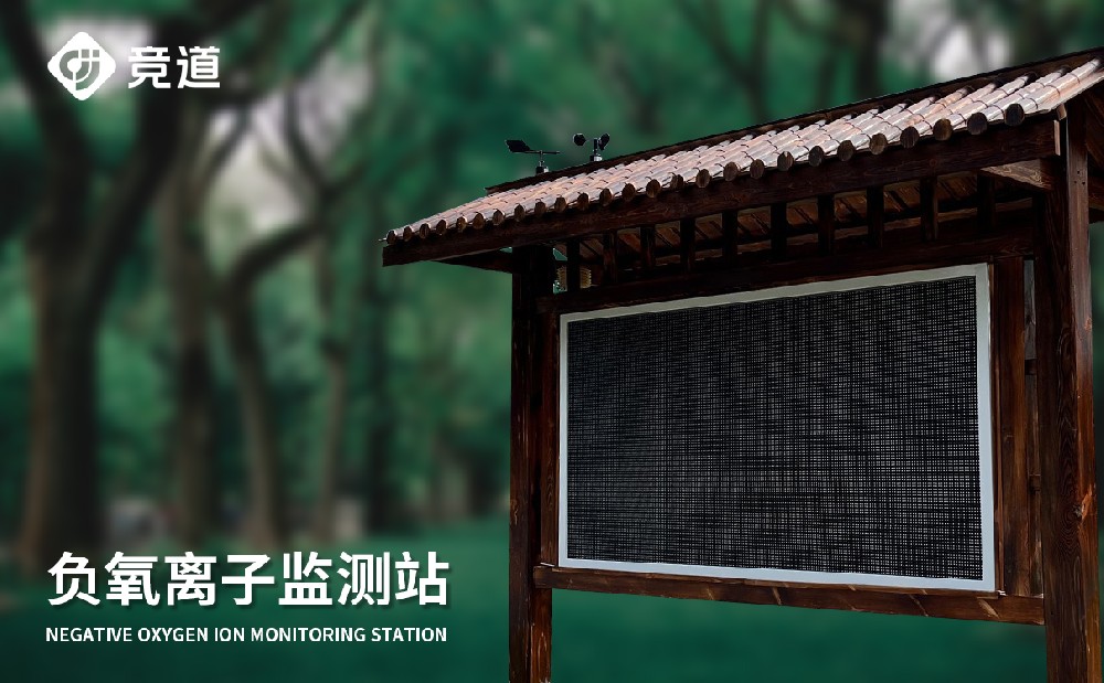 负氧离子监测仪