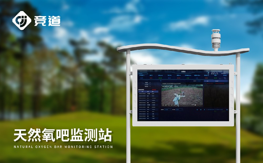 景区负离子监测系统