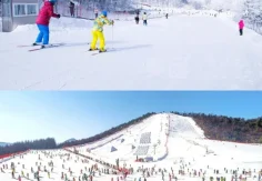 热“雪”迎新春 神农架国际滑雪场春节假期人气爆棚